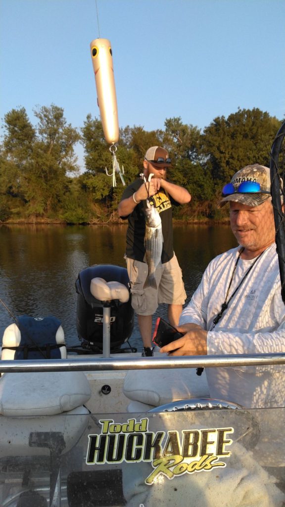 Striper fishing on the Lower Illinois River in Oklahoma with Oklahoma Fishing Adventure.